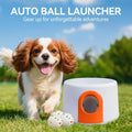 ALL FOR PAWS Automatic Dog Ball Launcher, Interactive Fetch Toy for Small Medium Large Dogs, Rechargeable Pet Ball Throw
