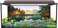 48x20 inches Nature Aquarium Backdrop River Mountain Fish Tank Background