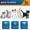 Cat Antibiotic Respiratory Support During Cough & Allergies