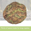 Extra Large Reptile Hide Resin Snake Hideout for Ball Pythons Amphibians Hides and Caves Simulation Rock Reptile Habitat