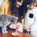 INABA Twin Packs for Cats, Side Dish/Topper Pouch, 1.4 Ounces per Serving, 16 Servings