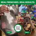 Air-Dried Dog Food for French Bulldogs - 2lb - Salmon, Superfoods, Probiotics - Hypoallergenic & Grain-Free