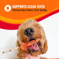 GOOD 'N' FUN Twists Long-Lasting Dog Treat with Real Bully, 12 Count
