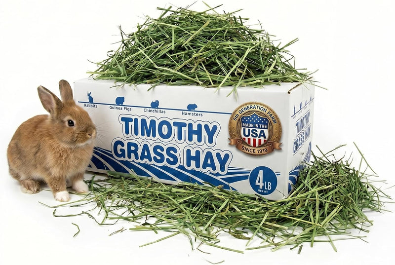 High Desert 2nd Cutting Timothy Hay for Rabbits, Guinea Pigs, 4 lb