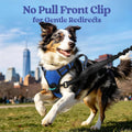 rabbitgoo Dog Harness for Large, Updated Easy On & Off with 3 Buckles
