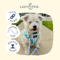 Lucy & Co. Designer Dog Leash - Pet Accessories - Thick Dog Leash - Padded Handle for Comfort - Ballet Bows - 5 Foot (Wh