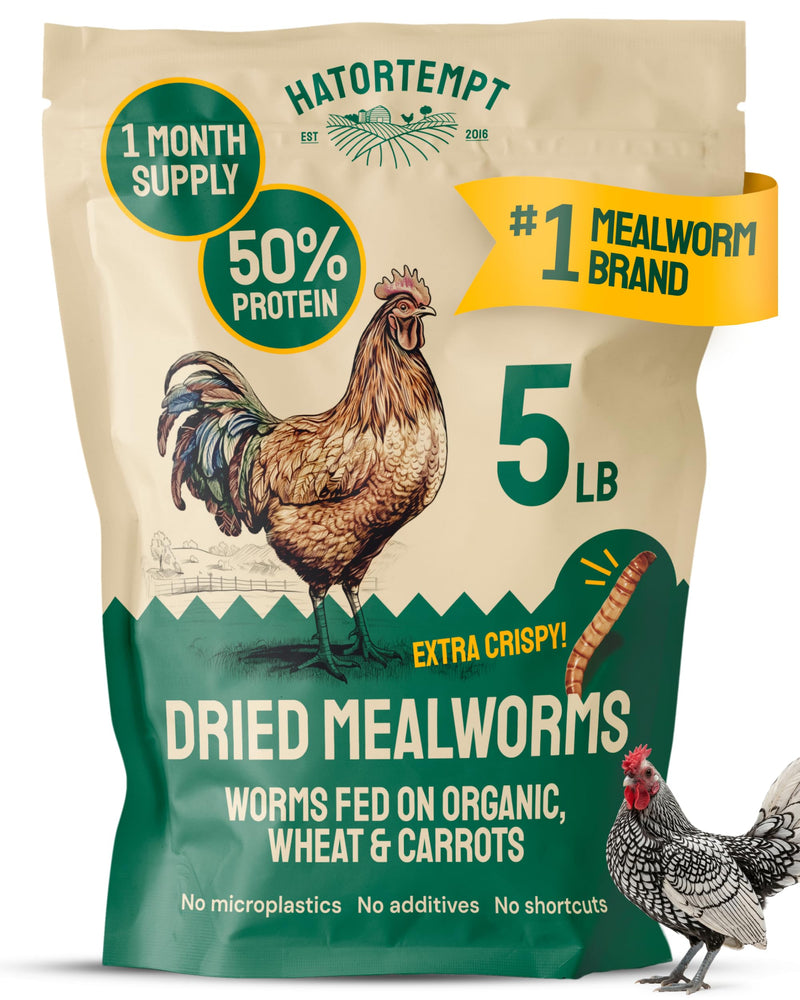 Hatortempt Bulk Dried Mealworms - 5 Lb Bag - Dried Mealworms for Chickens, Ducks & Wild Birds - High-Protein Chicken Feed & Bird Food