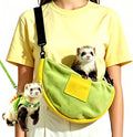 Ferret Harness Leash with Carrier Set，Small Animals Vest Harness, Dinosaur Shaped Leash Set, Semi-Circular Bag for Rabbi