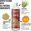Pride and Groom DogDays Curly + Wavy Grooming Shampoo | Tearless, All-Natural Shampoo for No and Low Shedding Dogs | Moisturizing Formula for Soft, Shiny, & Healthy Fur – 16 oz