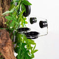 WACOOL Magnetic Reptile Ledge, Acrylic Gecko Feeding Ledge with 6PCS Cups, Reptile Food Water Feeder Dish for Geckos Igu
