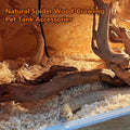 Hamiledyi 7-10in Natural Aquarium Driftwood 2PCS Large Reptile Spider Wood Ornament Assorted Branches Natural Driftwood 