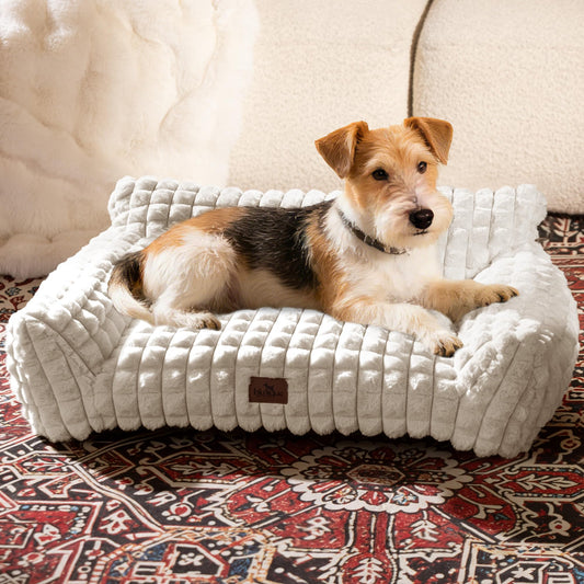 blunique Cute Dog Beds for Small/Medium Dogs/Cats, Washable Dog Sofa Faux Rabbit Fur Pet Bed, Supportive Dog Couch with Removable Zipper Cover for Indoor Cats/Dog, 30 x 20 x10inch, Off White