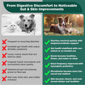 S.boulardii + FOS Pet Probiotic Powder for Dogs and Cats, 6.7 Billion CFU, Gut & Immune Support, Loose Stool & Digestive