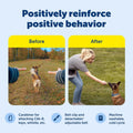 PetSafe Treat Pouch Sport- Durable, Convenient Dog Training Accessory, Standard, Black