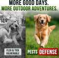 Flea and Tick Prevention for Dogs Chewables, Natural Flea & Tick Control