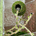 Magnetic Jumping Spider Accessories-Moss Hideout with Rope & Bridge