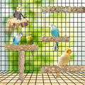 Bird Perches,4pcs Natural Wood Birds Stand Branch, Bird Perch Chewing Stick Cage Accessories Parrot Climbing Standing Branches Paw Grinding Fork Sets for Parakeet Lovebirds Cockatiels Conure Budgies