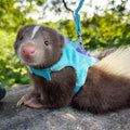 Bearded Dragon Harness and Leash Set - Soft Fleece Dinosaur Vest with Safe Bell Adjustable Lizard Traction Rope Escape P