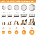 Neater Pet Brands Stainless Steel Dog Bowls with Non-Slip Rubber Bottom – 2 Cup (16 oz), Black - Set of 2 Heavy Duty Met