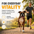 maxxipaws - maxxicardio Heart Support for Dogs (Small Size) – Taurine + L-Carnitine + Hawthorn + Ginkgo – Helps Support Circulation, Energy & Stamina – Easy Mix Powder – Made in USA – 3.2 oz