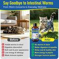 Dewormer for Cat and Kittens, Triple Dewormer for All Worms