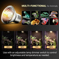 CALPALMY 4-Pack 50W UVA+UVB Bulbs | Heat and Light for Reptiles and Amphibian Tanks, Terrariums and Cages | Works with V