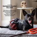 Fitwarm Halloween Skeleton Dog Dress, Funny Dog Halloween Costumes, Doggy Clothes for Small Dogs Girl, Pet Apparel, Blac