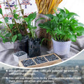 2.4lb River Rocks Pebbles for Plants & Succulents, Decorative Outdoor Landscaping & Aquarium Garden Rocks