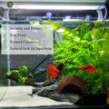 SunGrow Betta Fish Cave, Habitat Made from Coconut Shell, Soft-Textured Smooth Edged Spacious Hideout, for Resting and B