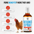 SILVER GRADE Wound Spray for Chicken – Birds & Chicken Antibiotics Alternative to Help with Pecking Sores, Bumblefoot, Cuts – Poultry Spray with Silver – GMOs Free – 4-Oz Bottle