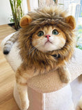 Lion Mane Wig for Cat,Dog and Cat Costume,Funny Pet Cat Costumes for Halloween Christmas, Parties, Photo Shoots