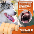 BRUTUS & BARNABY Premium Beef Cheek Rolls for Dogs 10-12" - (3-Pack) Long Lasting, Natural Rawhide Alternative Chews, Id