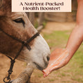 POHS Animal Pink Salt Lick, 8x4x2 100% Natural Salt Chunk, Pack of 4, 22 lbs