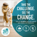 Purina ONE Indoor Advantage Weight Control Dry Cat Food, 16 lb Bag