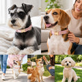 DOGWONG PU Leather Dog Collars for Small Dogs,Classic Adjustable Pink Dog Collars with Quick Release Metal Buckle,Easy C