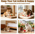 KITCHSTAR 46 PCS Cat Toys for Indoor Cats, Kitten Toys with Cat Spring Toy, Mint Catnip with Crinkle Mouse Ball for Indoor Cats Kittens Exercise