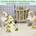 Guinea Pig Hay Feeder Wooden Rabbit Hay Rack Bunny Treat Holder Vegetable Dispenser Foraging Toy Cage Accessories for Ch