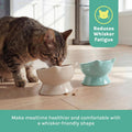 Kitty City Elevated Cat Bowls (Set of 2), Whisker-Friendly Raised Cat Food & Water Dishes, Modern Pedestal Design, Dishw
