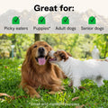 Open Farm, RawMix Dry Dog Food with Ancient Grains, Protein-Packed Kibble Coated in Bone Broth with Freeze Dried Raw Chunks, Salmon Whitefish & Rockfish, Wild Ocean Recipe, 20lb Bag
