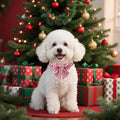 Lionet Paws Christmas Dog Collar with Sailor Bow, Cute Ho Christmas Tree Snowman Pink Dog Collar Bow Tie for Dogs, Small