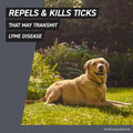 FRONTLINE Shield Flea & Tick Treatment for Dogs 81-120 lbs. (Red) Count of 3