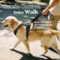 rabbitgoo Dog Harness, No Pull for Large Dogs with 2 Leash Clips, Pet Vest