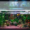 Sieral Aquarium Lids Canopy Set, 30 x 12 Inch, Clear, 1 Pcs