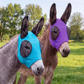 2 Pcs Mini Donkey Fly Mask with Ears Protection and Big Mesh Eye Covers