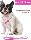 6FT Dog Training Leash - Slip Lead for Small & Medium Dogs - Strong, Lightweight, No Pull - Comfortable Loop (D-Pink, 6F