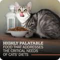 Redbarn Air Dried Powerfood Cat Food Chicken Recipe, Made in USA, 2.5 oz