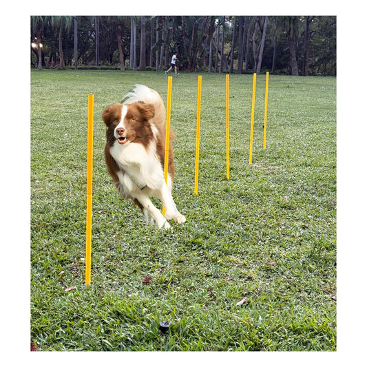 Dog Agility Equipment, Agility Poles, Dog Jumps, Outdoor Obstacle Course with 6 Weave Poles and Adjustable Jump Bar, Partial Gift Conversion Buckle (Blind Box) Yellow