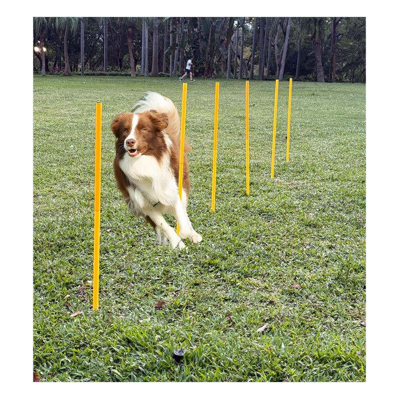 Dog Agility Equipment, Agility Poles, Dog Jumps, Outdoor Obstacle Course with 6 Weave Poles and Adjustable Jump Bar, Partial Gift Conversion Buckle (Blind Box) Yellow