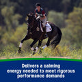 Farnam Weight Builder Weight Support Supplement for Horses, 30 Day Supply