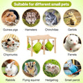 Alphatool Guinea Pig Hammock with Natural Wooden Stand, 16 x 11.8 x 9.5 in